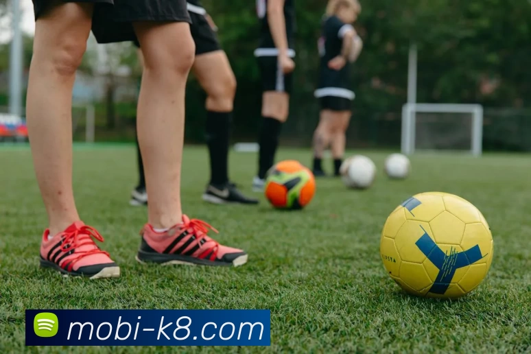 凯发娱乐平台生态图