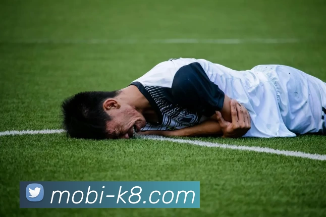 凯发娱乐APP 封面图